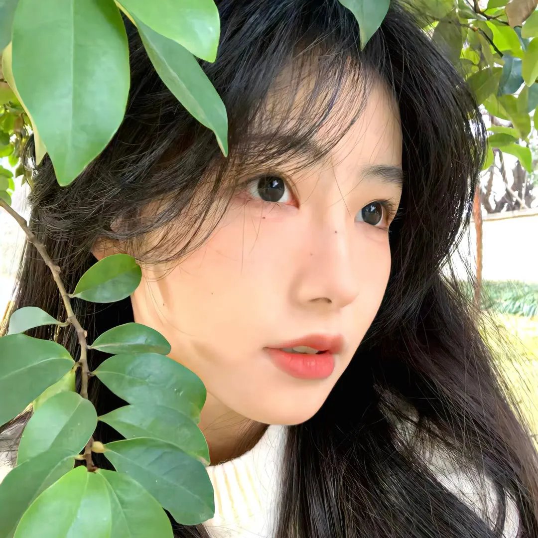 木兰花