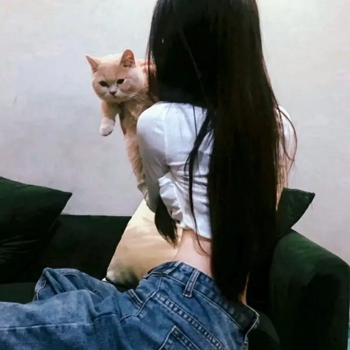 伍六七之记忆碎片